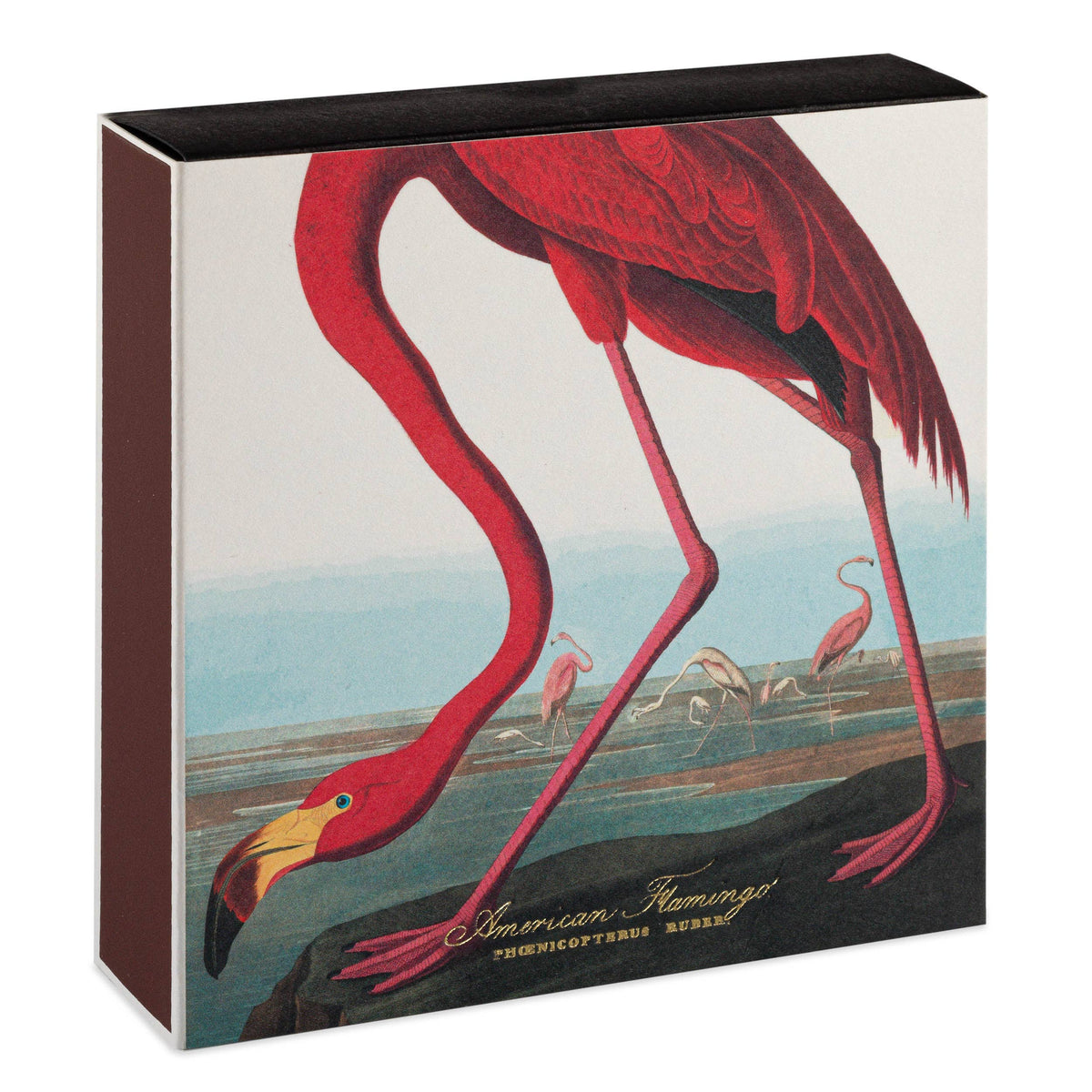 American Flamingo | Match Box