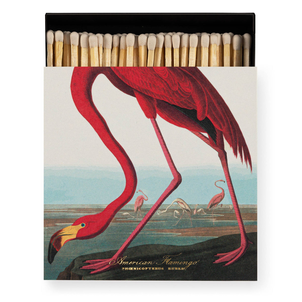 American Flamingo | Match Box
