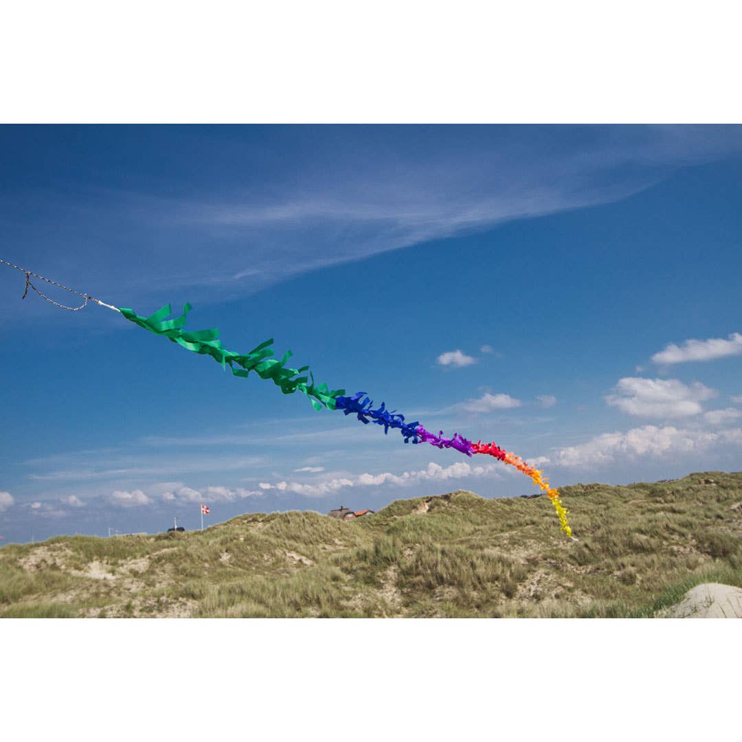 Spinner Kite