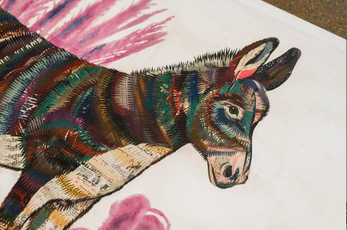 Burro II