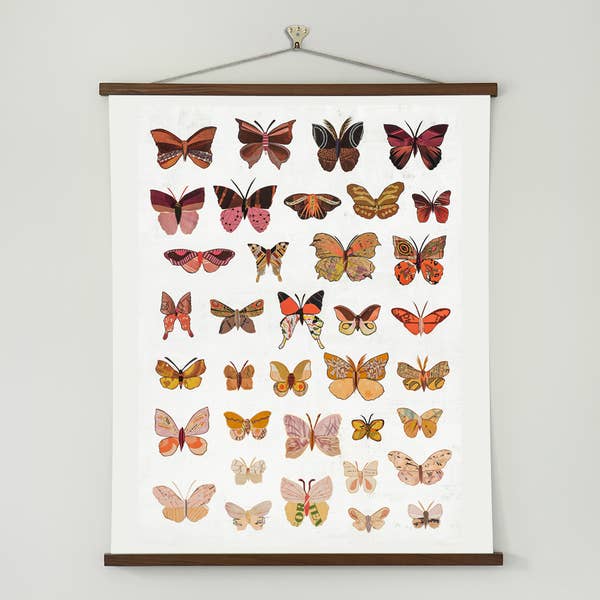 Butterflies | Dawn